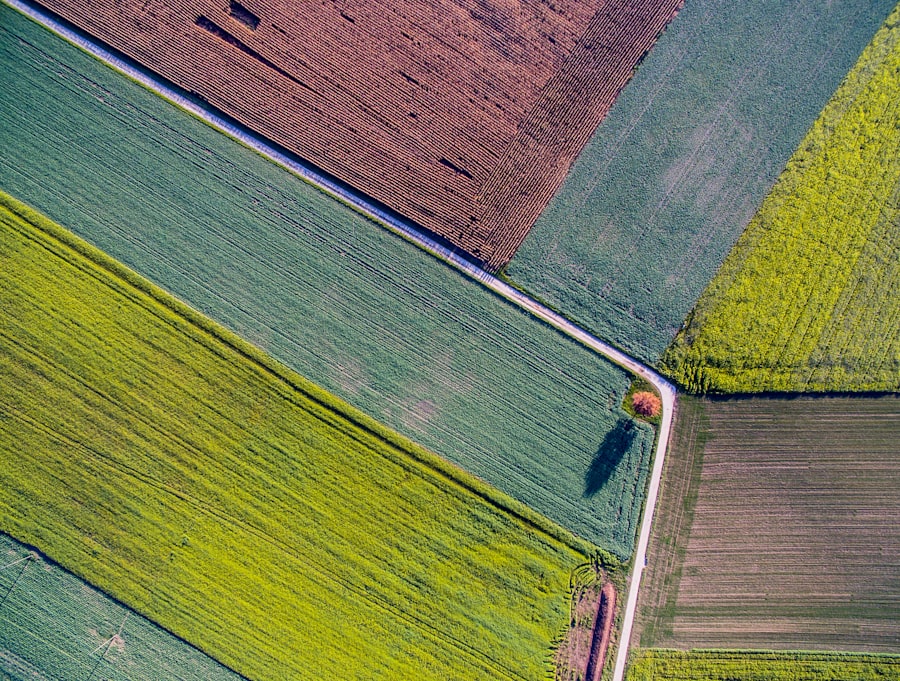 Biotechnologia w rolnictwie: nowe możliwości uprawy roślin