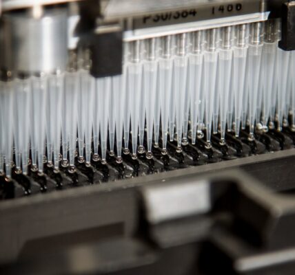 Photo DNA sequencing