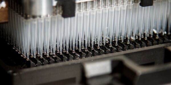 Photo DNA sequencing