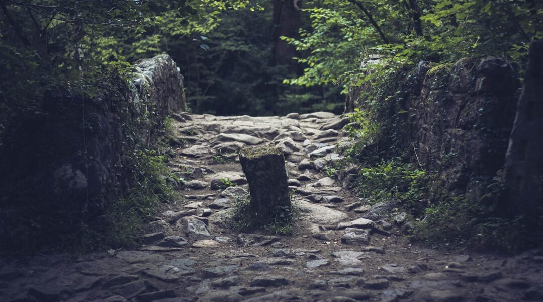 Photo Ancient paths