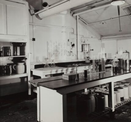 Photo historical experiments