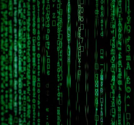 Photo biometric data security