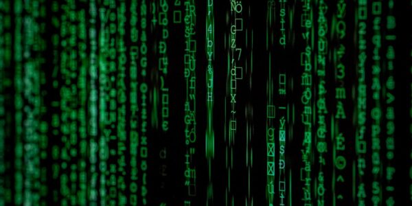 Photo biometric data security