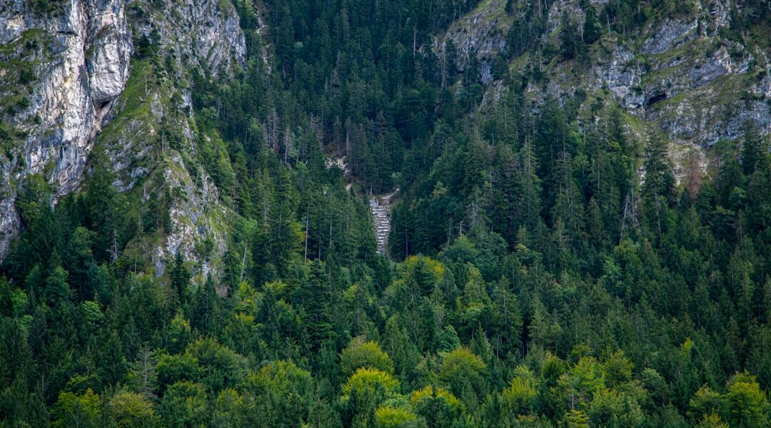 Photo nature curiosities Europe