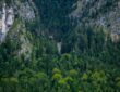 Photo nature curiosities Europe