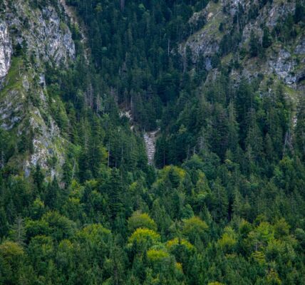 Photo nature curiosities Europe