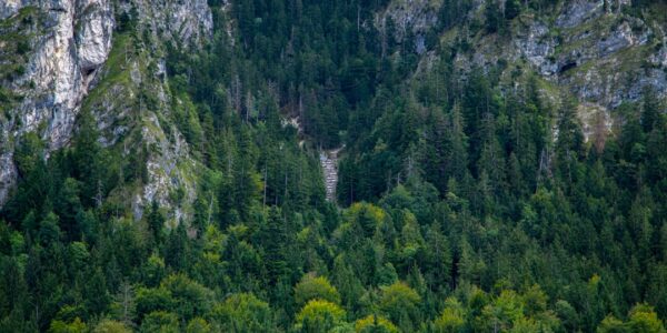 Photo nature curiosities Europe