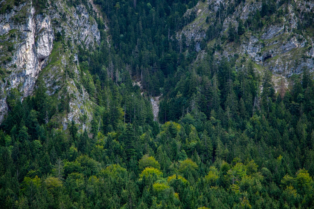 Photo nature curiosities Europe