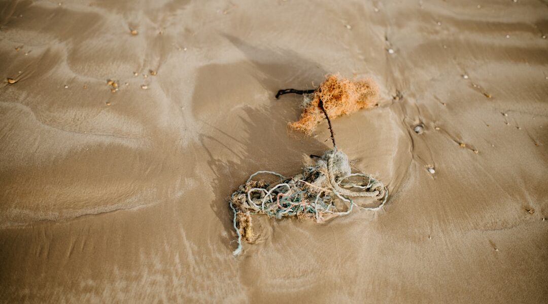 Photo Lost treasures海洋