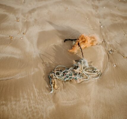 Zaginione skarby morskie: tajemnicze odkrycia pod wodą 11 Photo Lost treasures海洋