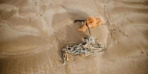 Zaginione skarby morskie: tajemnicze odkrycia pod wodą 1 Photo Lost treasures海洋