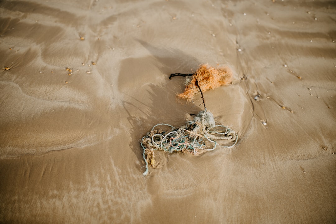 Zaginione skarby morskie: tajemnicze odkrycia pod wodą 7 Photo Lost treasures海洋