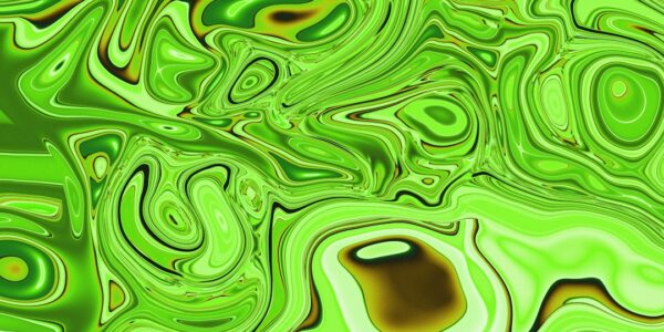 Chlorofil w płynie: zdrowie w butelce 25 Photo chlorophyll in liquid