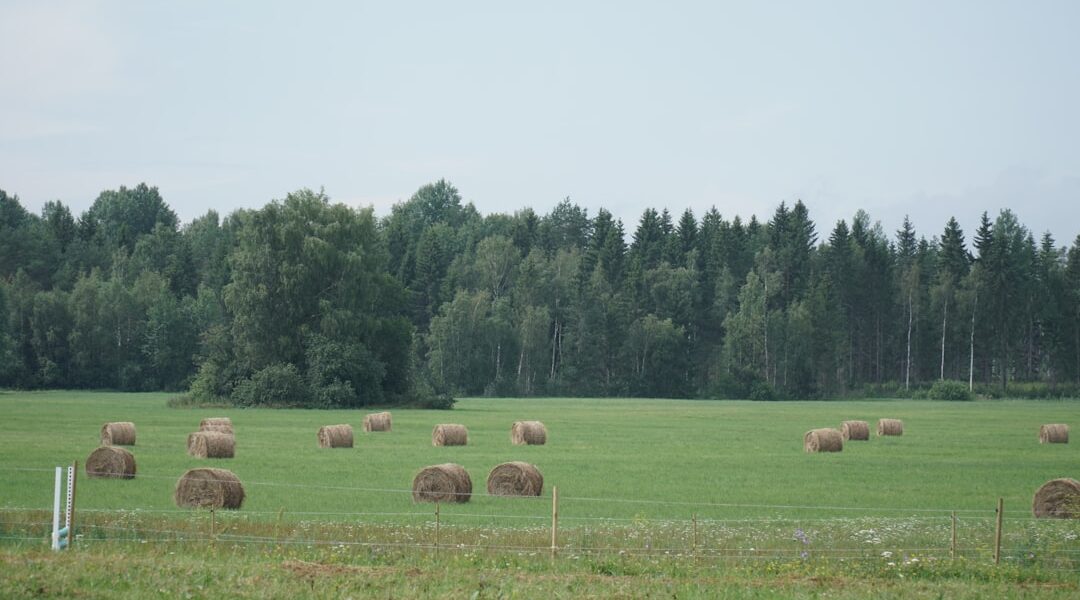 Nowe kierunki w polityce rolnej 1 Photo agricultural policy