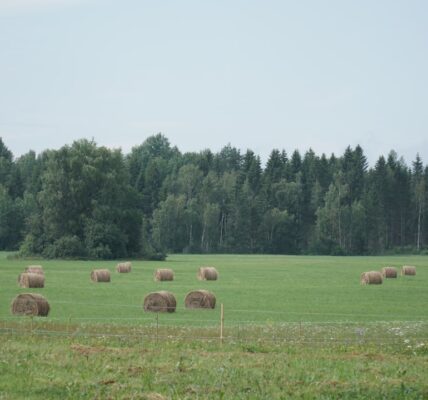 Photo agricultural policy