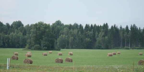 Photo agricultural policy