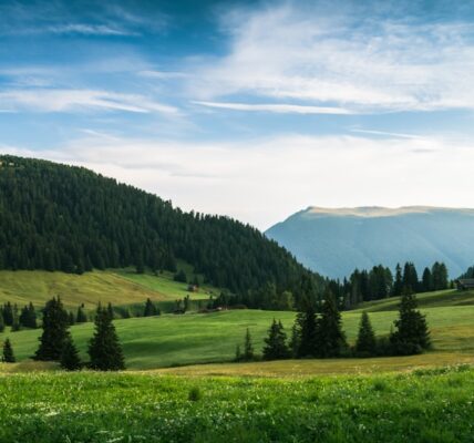 Photo Mikropaństwa