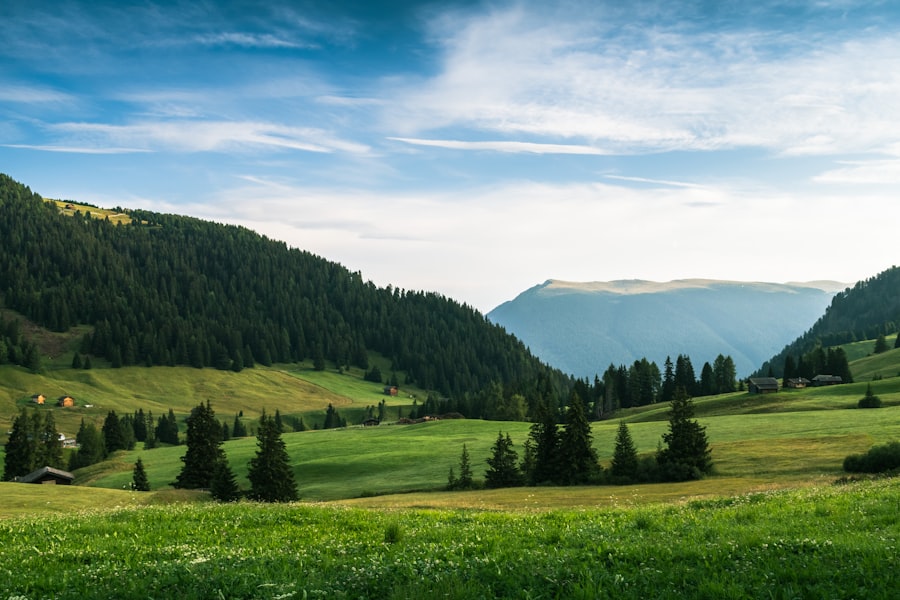 Photo Mikropaństwa